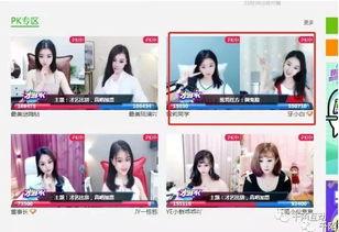 国产主播三级,揭秘我国网络直播行业的崛起与挑战