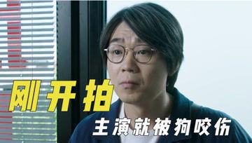 娱乐吃瓜君道歉视频,深度反思,重塑形象