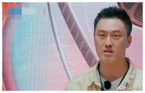 娱乐圈吃瓜爆料知乎完结,知乎完结篇,揭秘幕后真相!